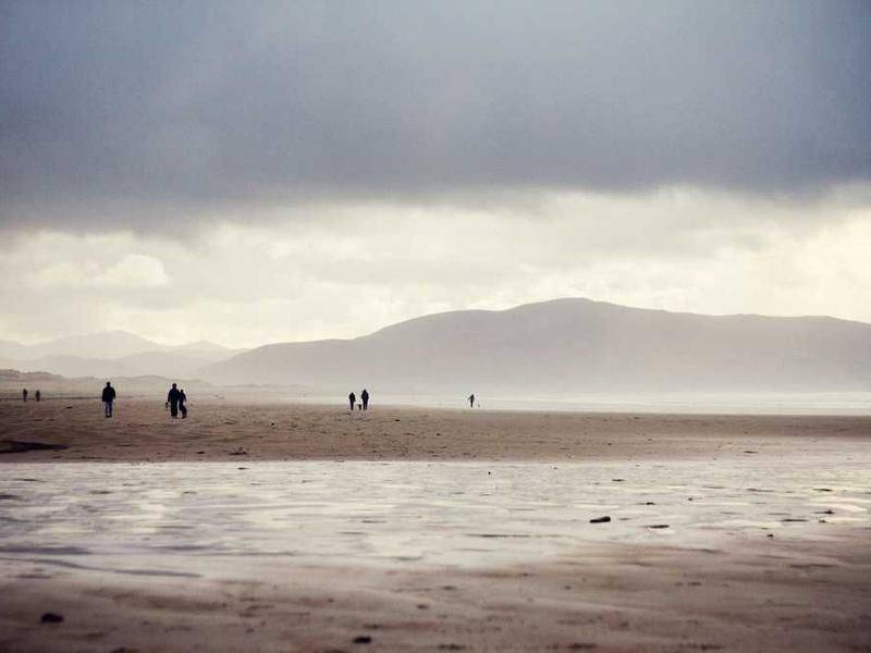 清河崔氏 供应崔氏手工实木画舫船景区观光旅游船仿古木船